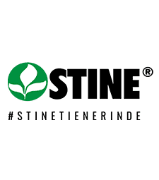 Stine Seeds